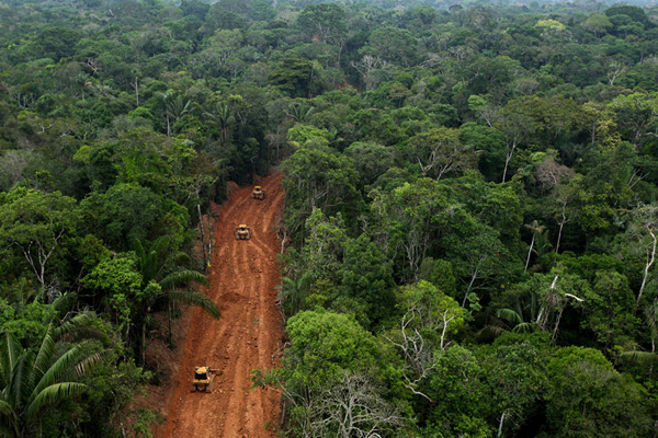 Oil company breaks agreement, builds big roads in Yasuni rainforest Oil company breaks agreement, builds big roads in Yasuni rainforest